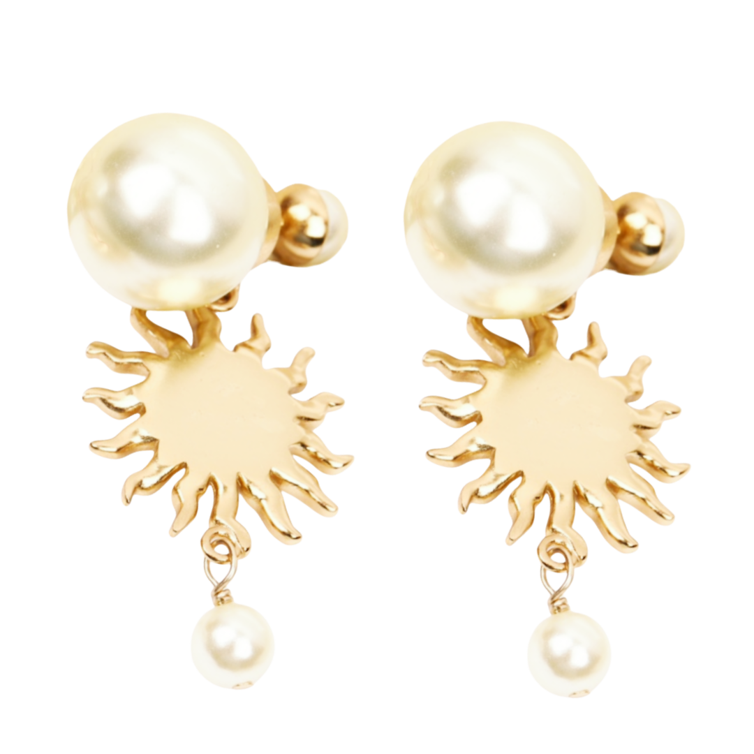 CDE216 Dior Toile de Jouy Soleil earrings - ccjewelryacc