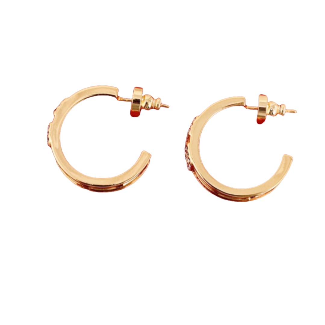 VTE043 Vlogo earrings - ccjewelryacc