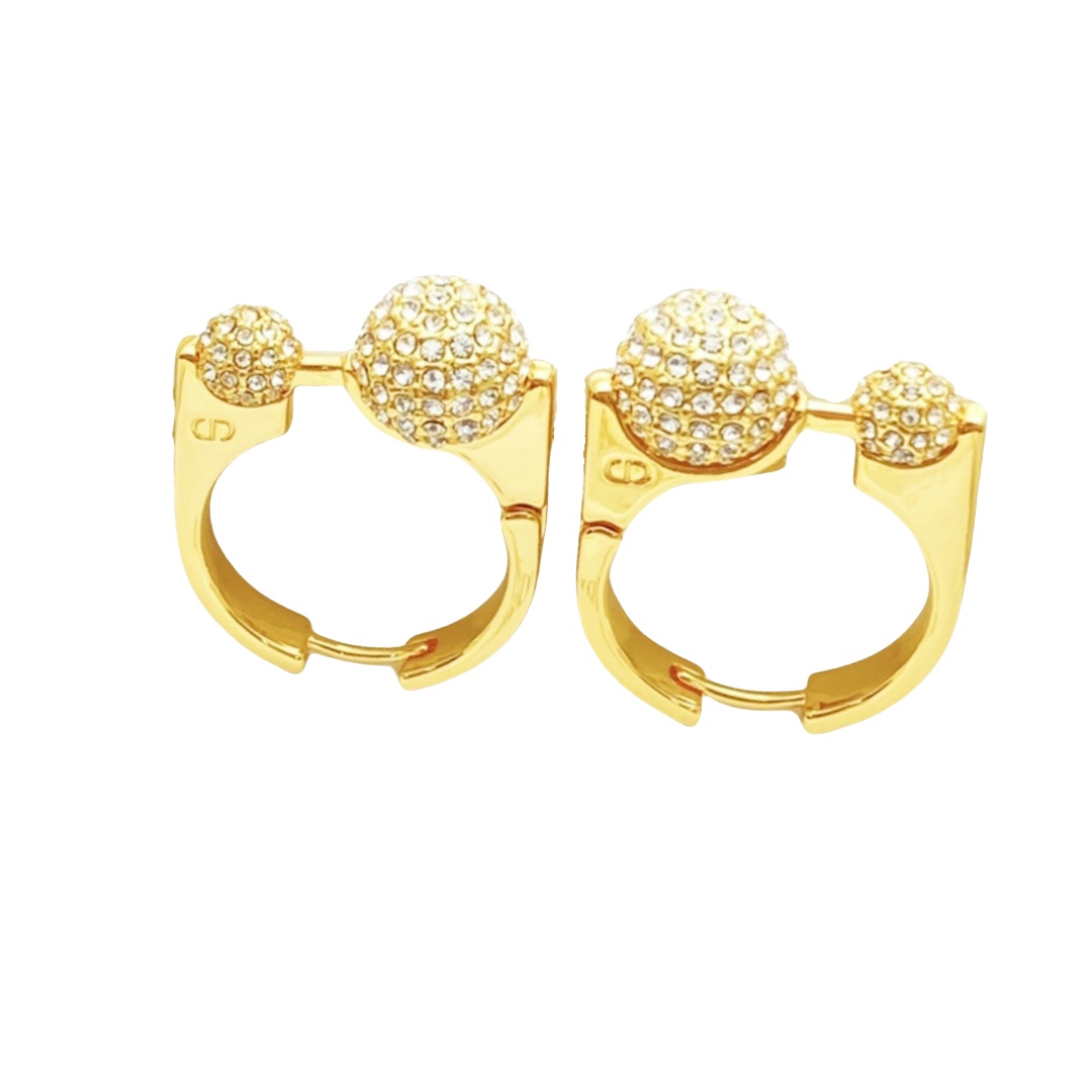 CDE217 Dior Earrings - ccjewelryacc