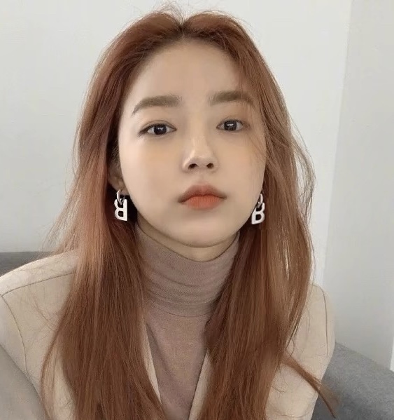 BAE023 Balenciaga B ICON drop fashion earrings Silver - ccjewelryacc