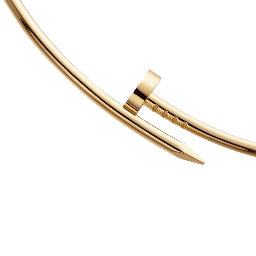 CTN023 Juste un Clou torque necklace, small model - ccjewelryacc