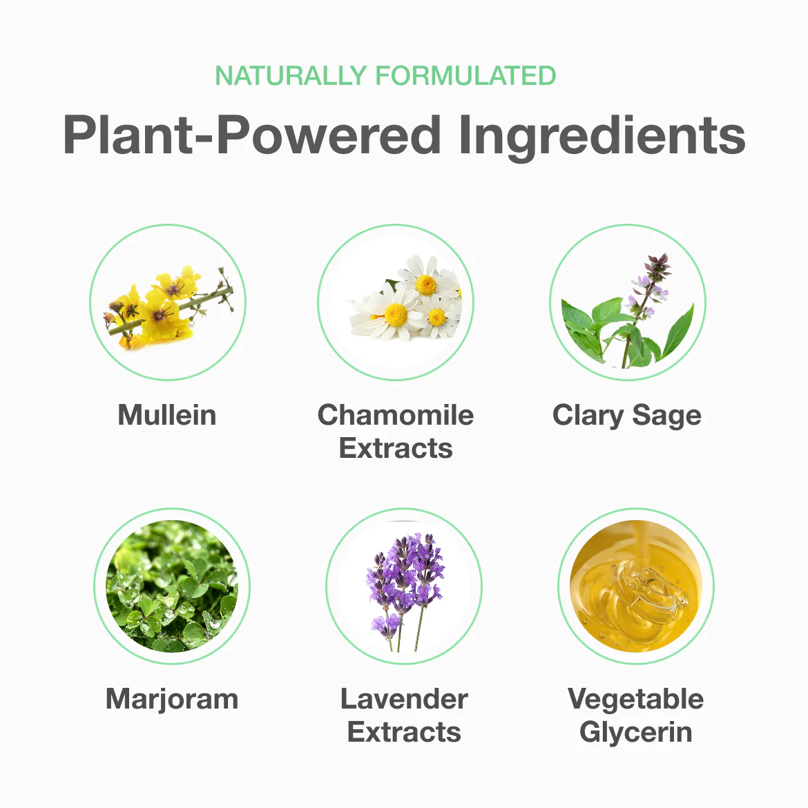 Detox Diffuser - Mullein vape- 400 Puffs -Pure Diffuser vape Shop