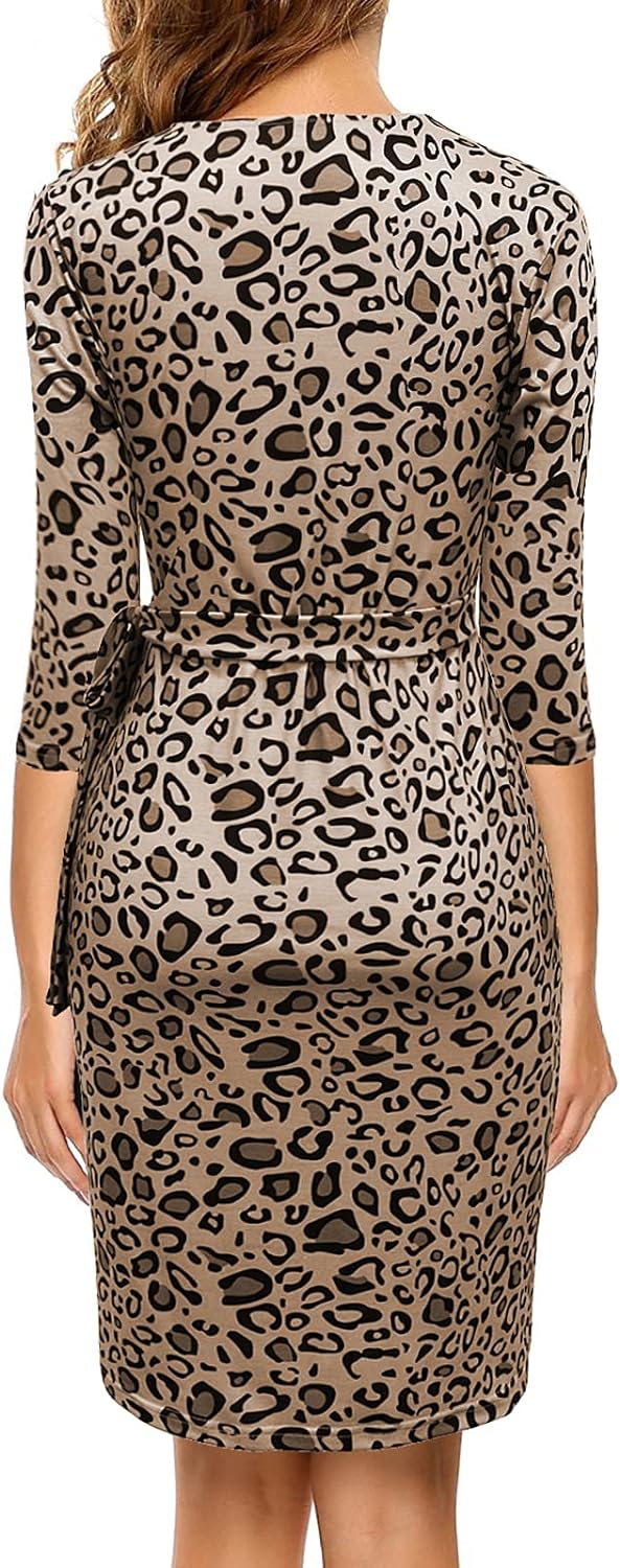 Classic Fashion V-neck Dress