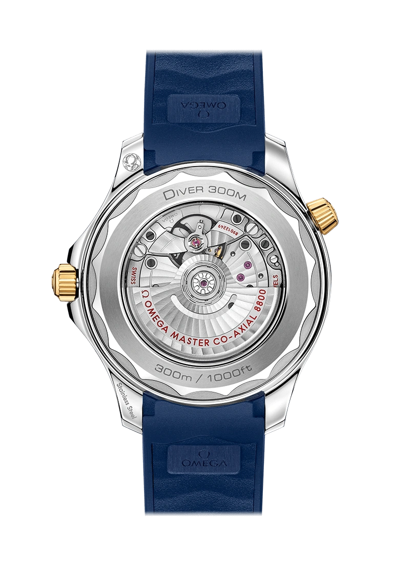 DIVER 300M CO?AXIAL MASTER CHRONOMETER 42 MM-210.22.42.20.03.001