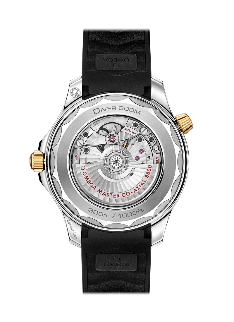 DIVER 300M CO?AXIAL MASTER CHRONOMETER 42 MM-210.22.42.20.01.001