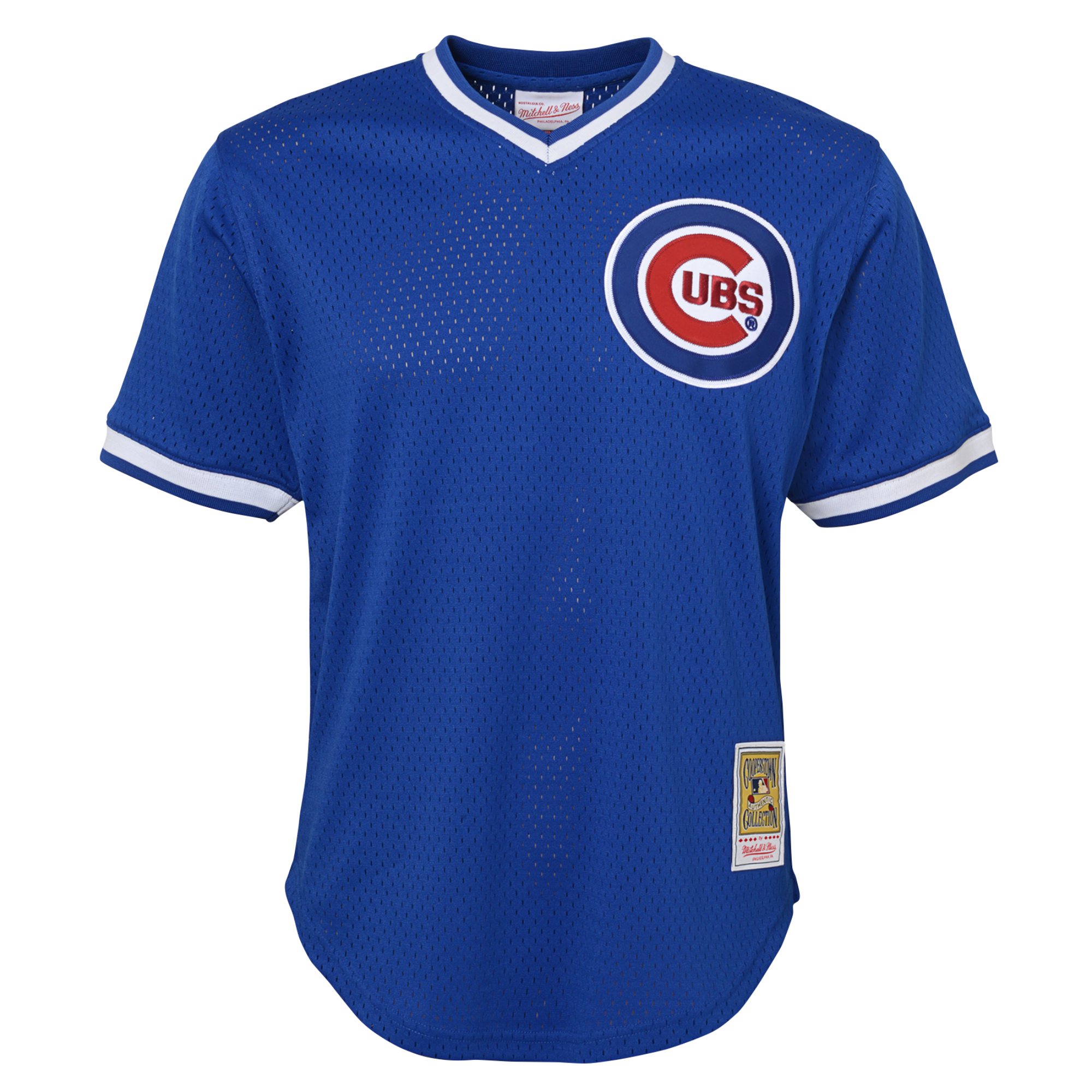 Ryne Sandberg Chicago Cubs Mitchell & Ness Youth Cooperstown Collection\u00c2\u00a0Mesh Batting Practice Jersey - Royal