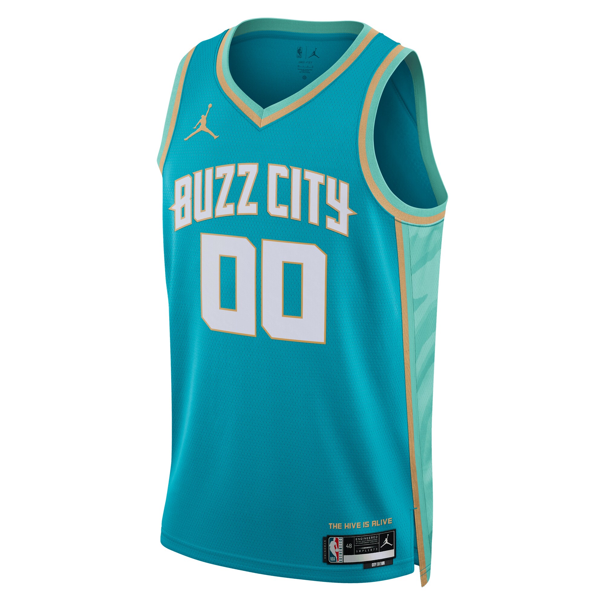 Charlotte Hornets Jordan Brand Unisex 2023\/24 Custom Swingman Jersey - Teal - City Edition