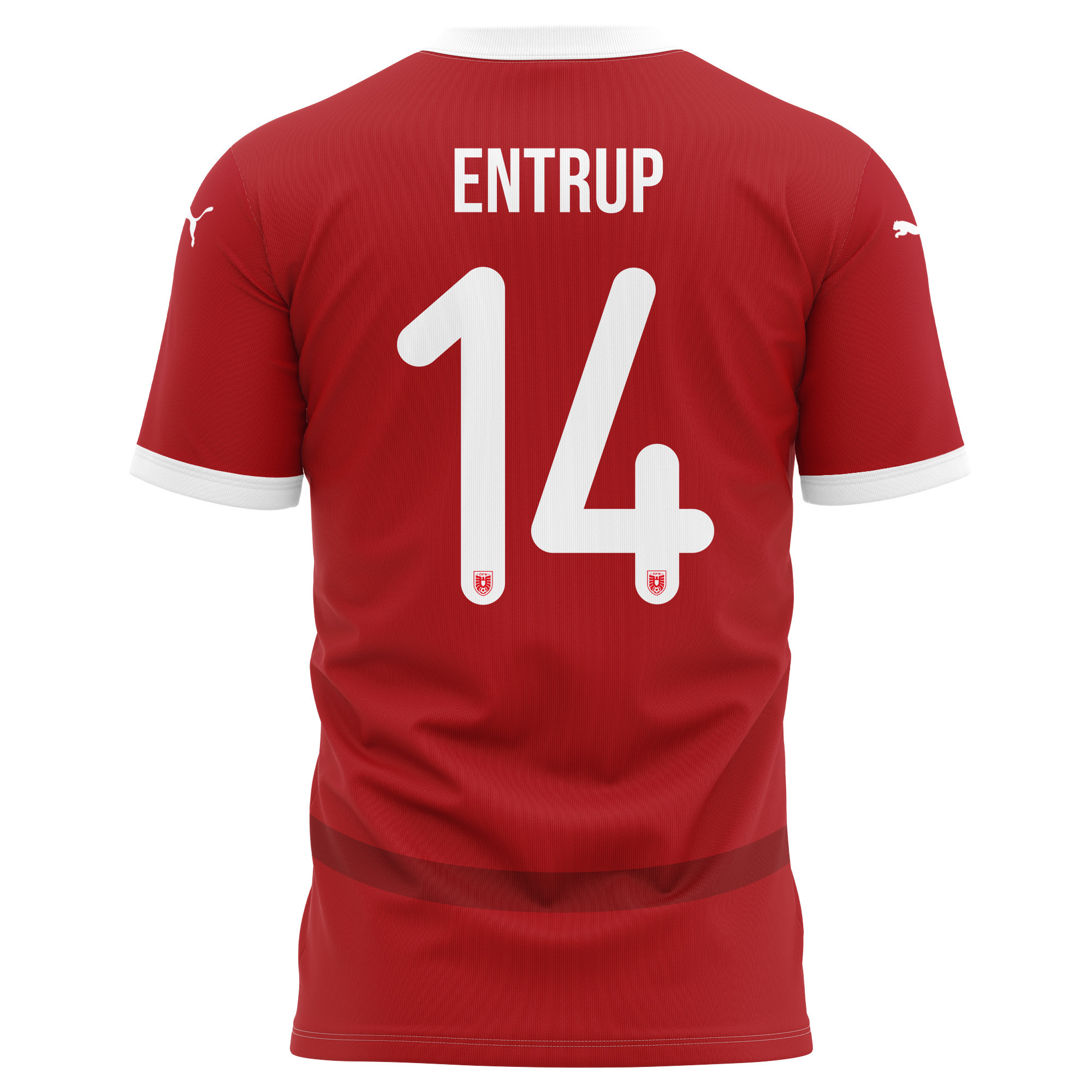 Maximilian Entrup 14 Austria National Team 2024/25 Home Kits AOP T-shirt - Red