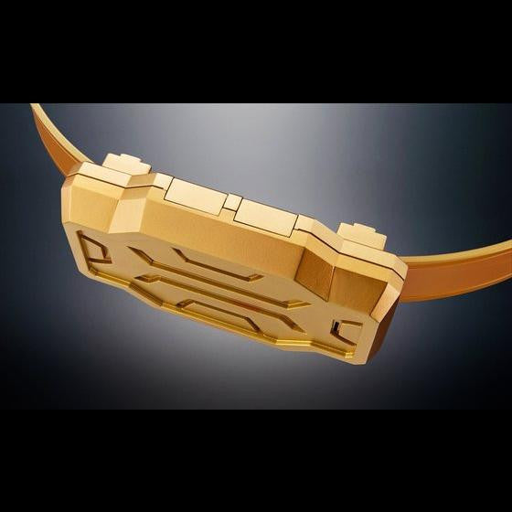 DX Para-DX Buckle