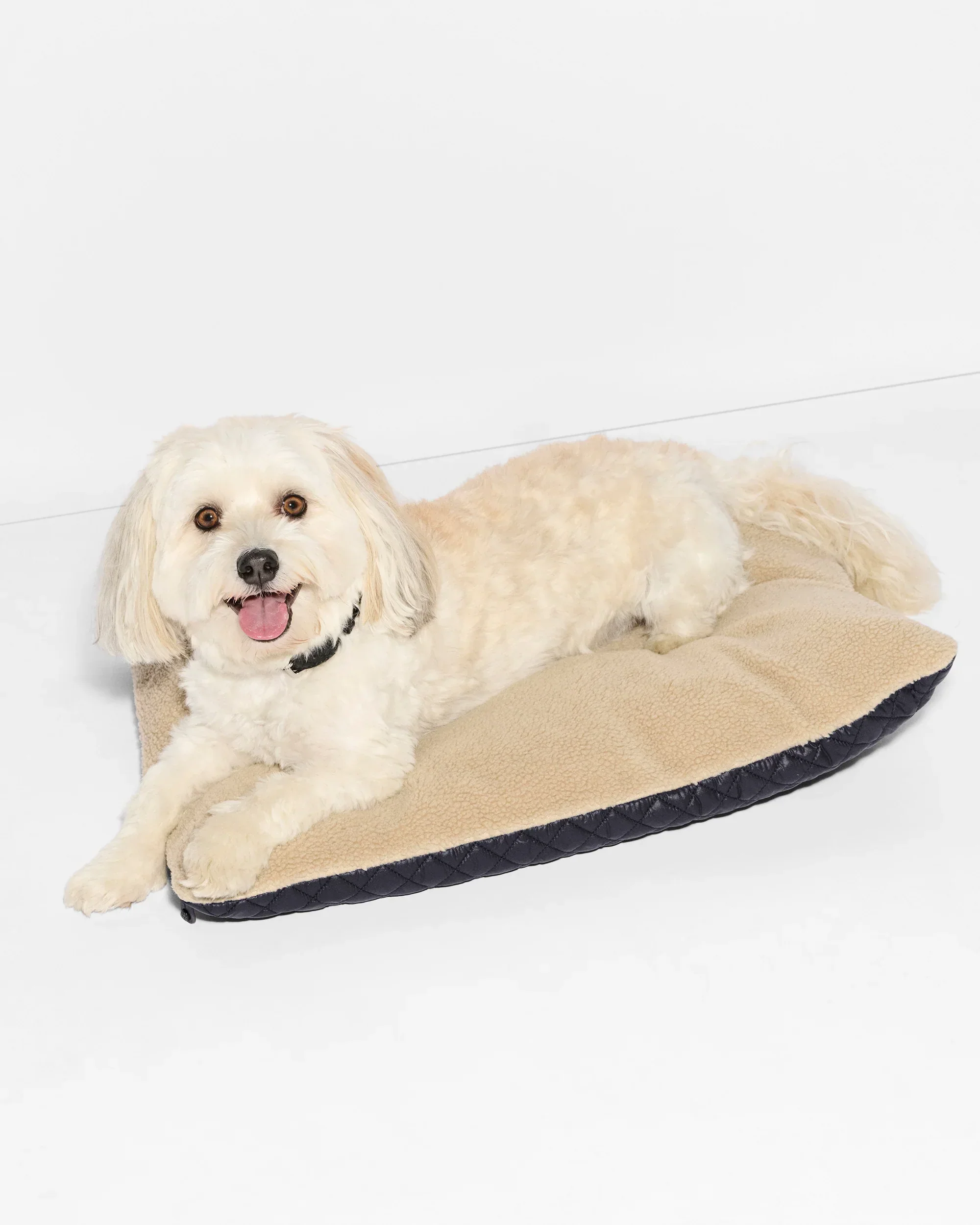 Black MZW Dog Bed